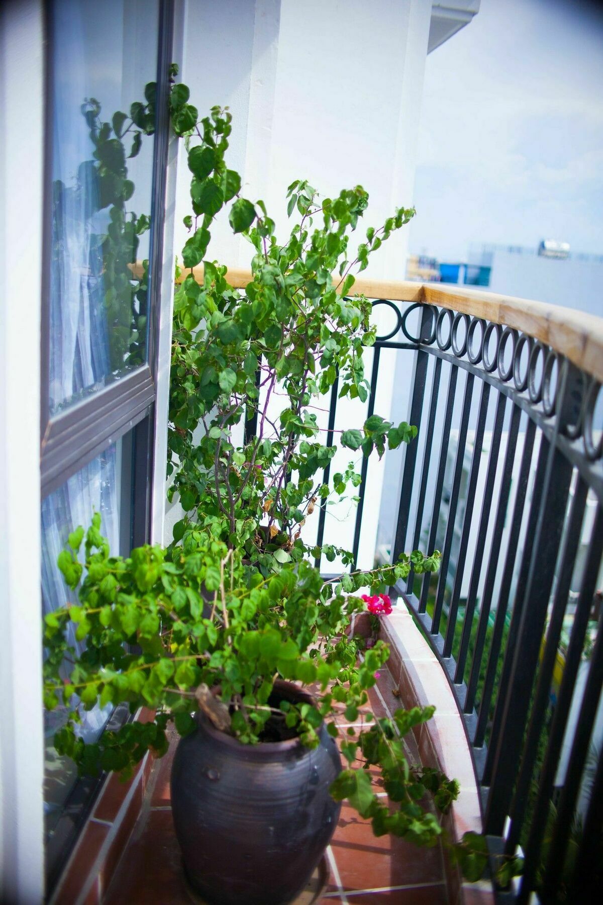 Eco Boutique 3* Дананг